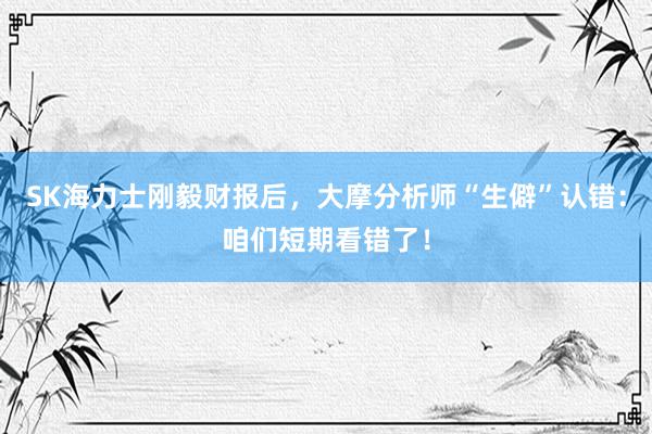 SK海力士刚毅财报后，大摩分析师“生僻”认错：咱们短期看错了！