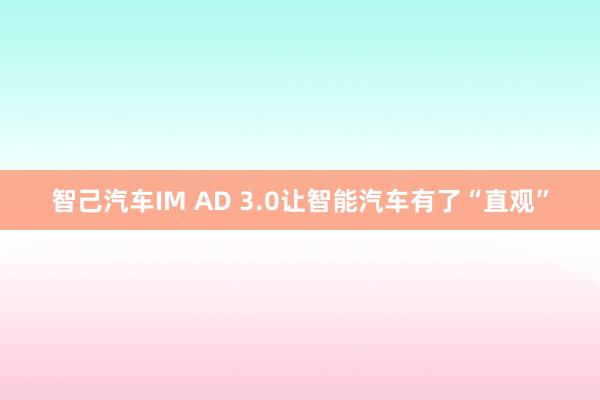 智己汽车IM AD 3.0让智能汽车有了“直观”