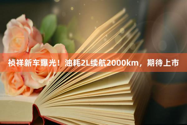 祯祥新车曝光！油耗2L续航2000km，期待上市