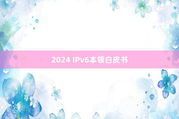 2024 IPv6本领白皮书