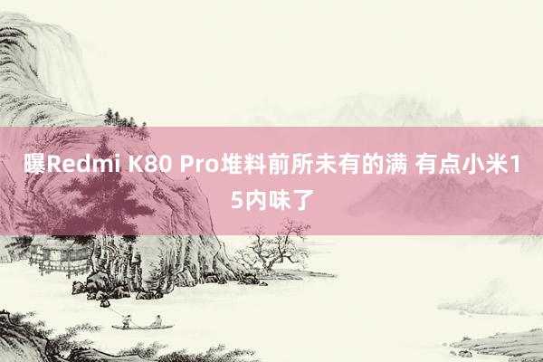 曝Redmi K80 Pro堆料前所未有的满 有点小米15内味了