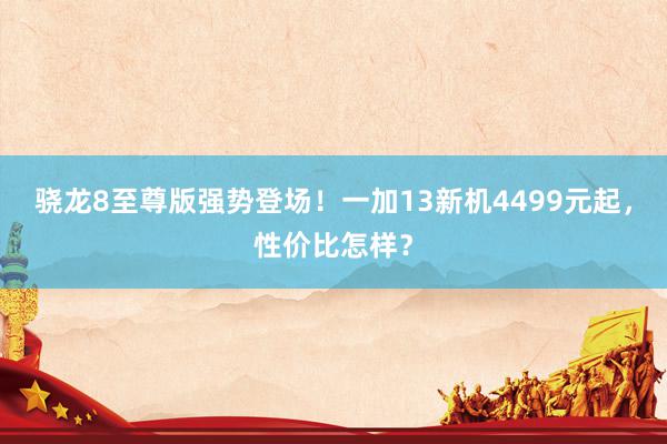 骁龙8至尊版强势登场！一加13新机4499元起，性价比怎样？