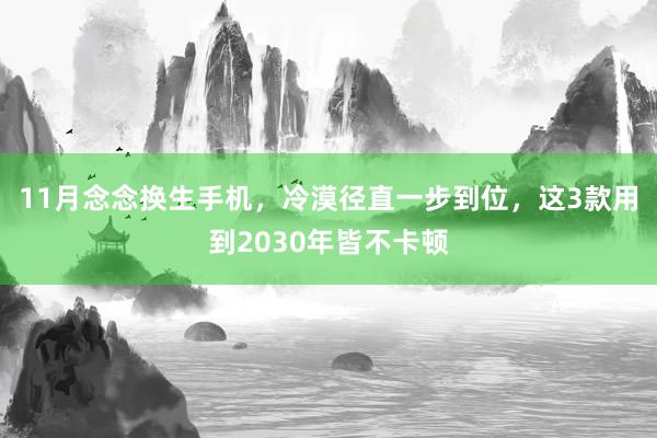 11月念念换生手机，冷漠径直一步到位，这3款用到2030年皆不卡顿