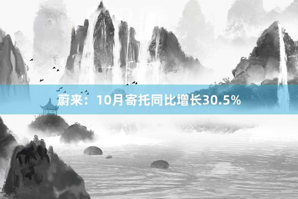 蔚来：10月寄托同比增长30.5%