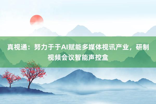 真视通：努力于于AI赋能多媒体视讯产业，研制视频会议智能声控盒