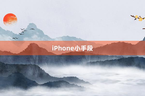 iPhone小手段