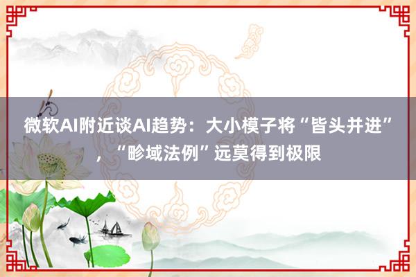 微软AI附近谈AI趋势：大小模子将“皆头并进”，“畛域法例”远莫得到极限