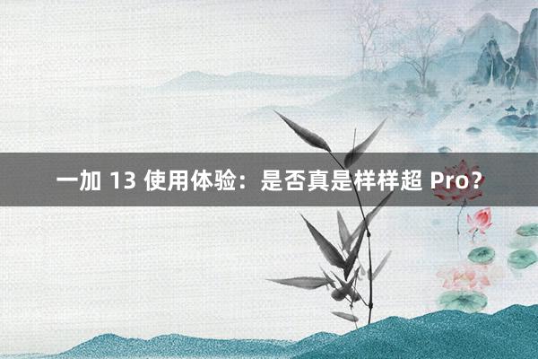 一加 13 使用体验：是否真是样样超 Pro？