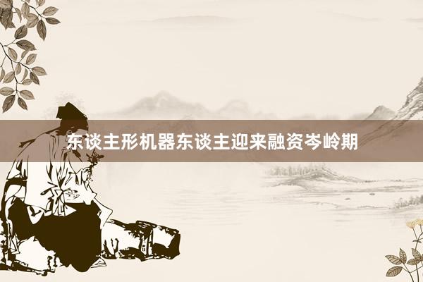 东谈主形机器东谈主迎来融资岑岭期