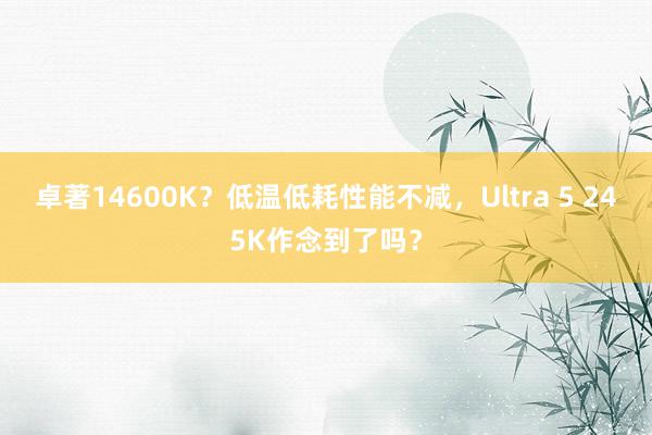 卓著14600K？低温低耗性能不减，Ultra 5 245K作念到了吗？