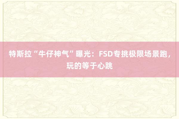 特斯拉“牛仔神气”曝光：FSD专挑极限场景跑，玩的等于心跳