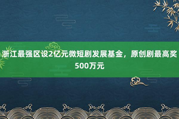 浙江最强区设2亿元微短剧发展基金，原创剧最高奖500万元