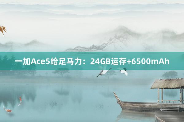 一加Ace5给足马力：24GB运存+6500mAh