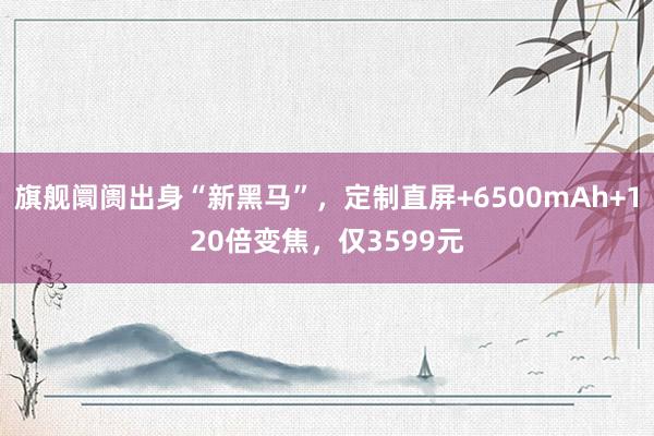 旗舰阛阓出身“新黑马”，定制直屏+6500mAh+120倍变焦，仅3599元