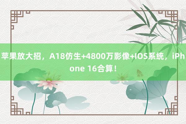 苹果放大招，A18仿生+4800万影像+IOS系统，iPhone 16合算！