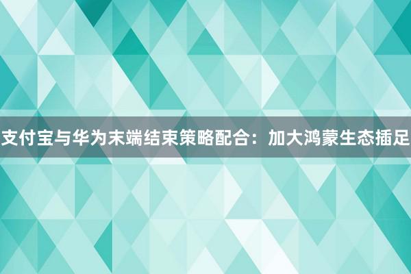 支付宝与华为末端结束策略配合：加大鸿蒙生态插足