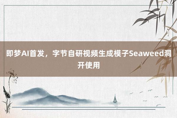 即梦AI首发，字节自研视频生成模子Seaweed洞开使用