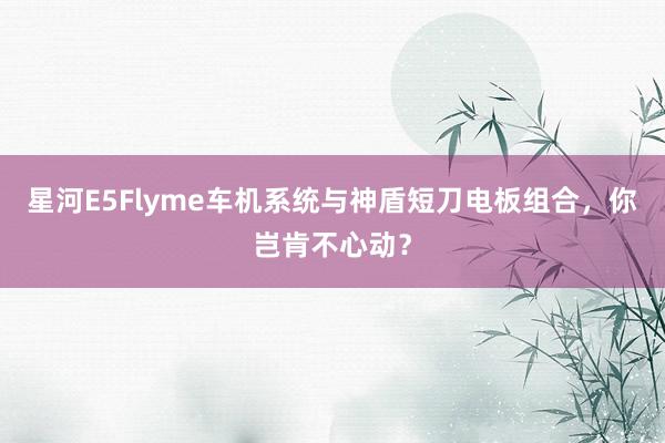 星河E5Flyme车机系统与神盾短刀电板组合，你岂肯不心动？