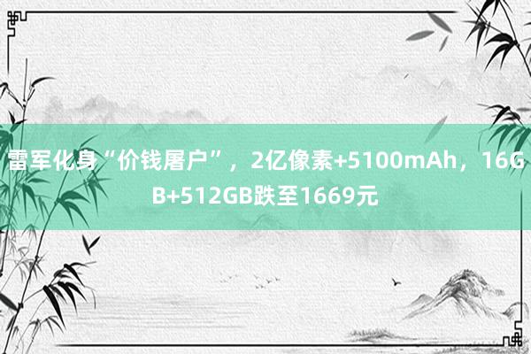 雷军化身“价钱屠户”，2亿像素+5100mAh，16GB+512GB跌至1669元