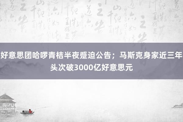 好意思团哈啰青桔半夜蹙迫公告；马斯克身家近三年头次破3000亿好意思元