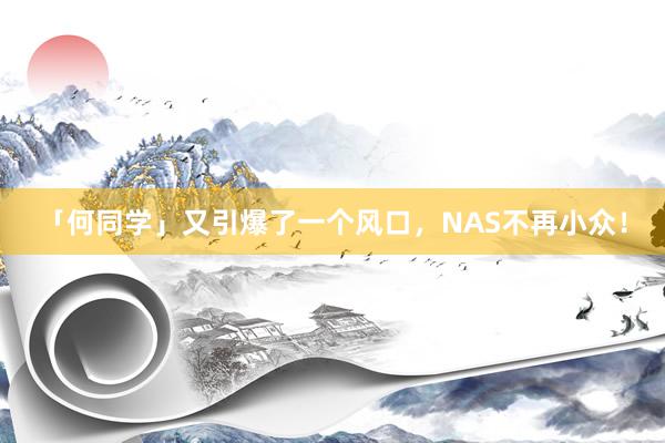 「何同学」又引爆了一个风口，NAS不再小众！