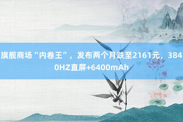 旗舰商场“内卷王”，发布两个月跌至2161元，3840HZ直屏+6400mAh