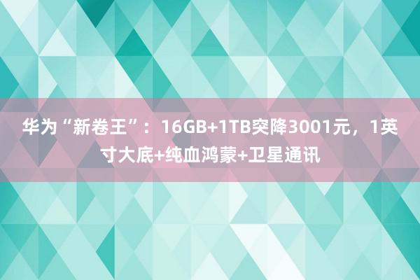 华为“新卷王”：16GB+1TB突降3001元，1英寸大底+纯血鸿蒙+卫星通讯