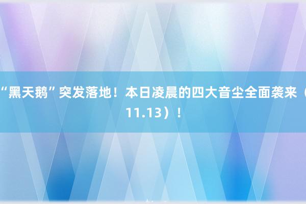 “黑天鹅”突发落地！本日凌晨的四大音尘全面袭来（11.13）！