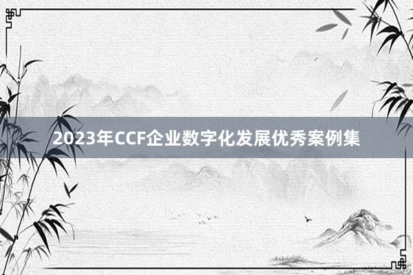 2023年CCF企业数字化发展优秀案例集