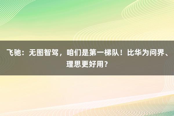 飞驰：无图智驾，咱们是第一梯队！比华为问界、理思更好用？