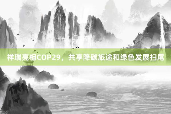 祥瑞亮相COP29，共享降碳旅途和绿色发展扫尾