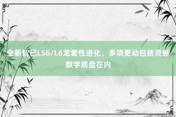 全新智己LS6/L6龙套性进化，多项更动包括灵蜥数字底盘在内