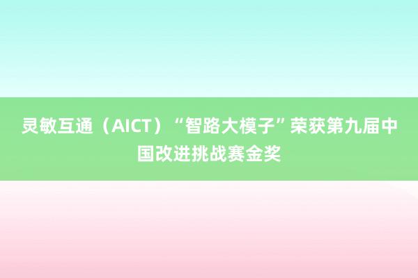 灵敏互通（AICT）“智路大模子”荣获第九届中国改进挑战赛金奖