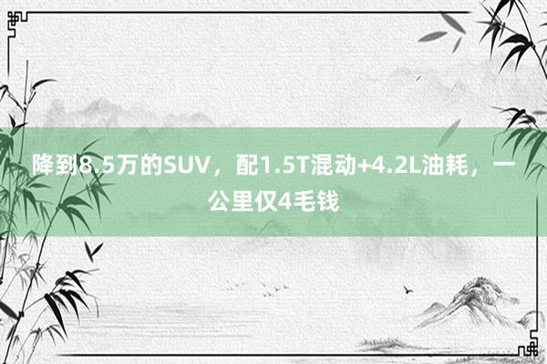 降到8.5万的SUV，配1.5T混动+4.2L油耗，一公里仅4毛钱