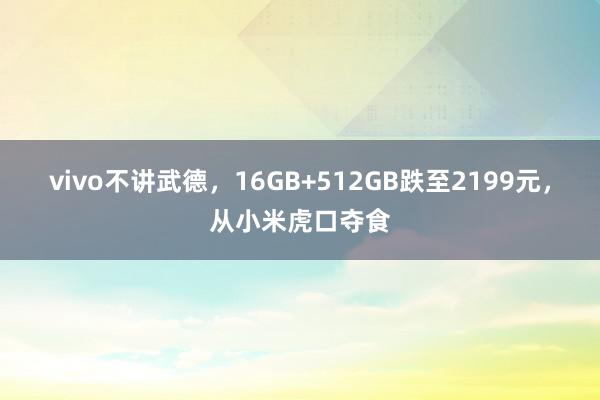 vivo不讲武德，16GB+512GB跌至2199元，从小米虎口夺食