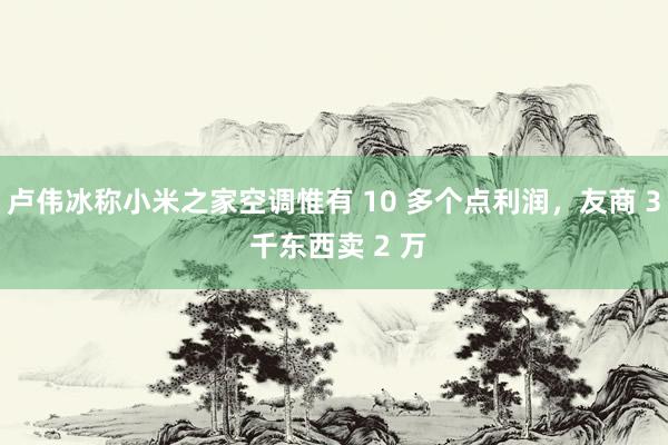 卢伟冰称小米之家空调惟有 10 多个点利润，友商 3 千东西卖 2 万