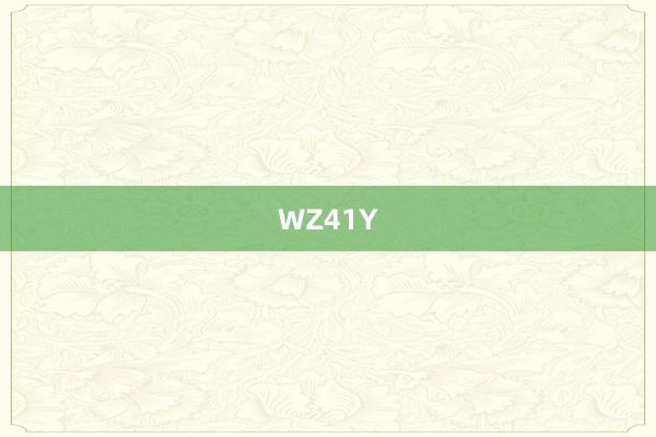 WZ41Y