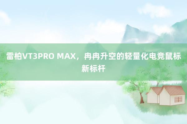 雷柏VT3PRO MAX，冉冉升空的轻量化电竞鼠标新标杆