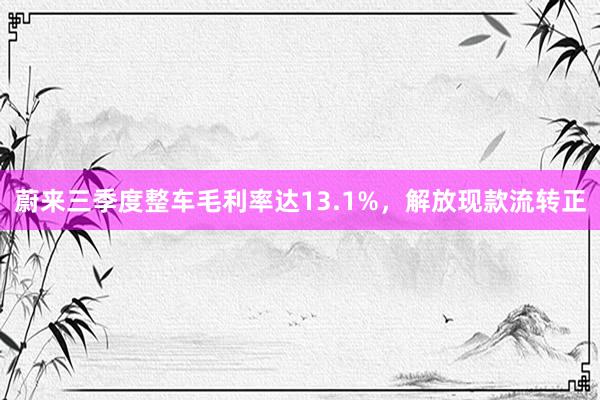 蔚来三季度整车毛利率达13.1%，解放现款流转正