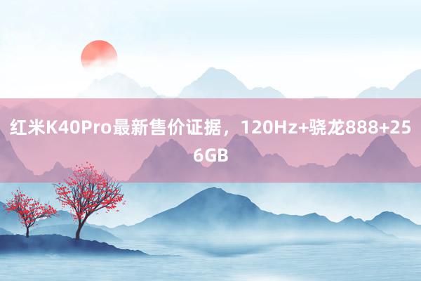 红米K40Pro最新售价证据，120Hz+骁龙888+256GB