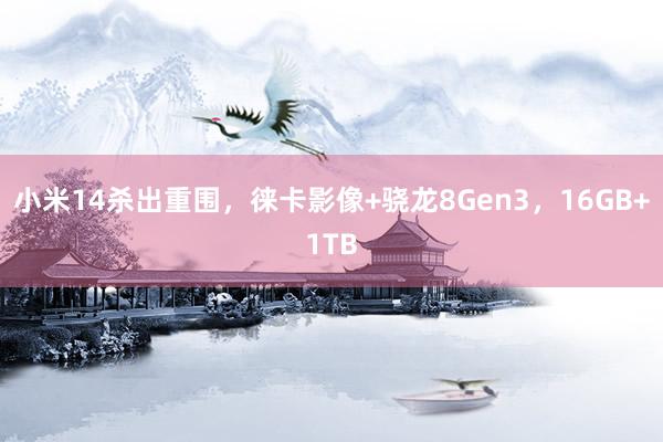 小米14杀出重围，徕卡影像+骁龙8Gen3，16GB+1TB