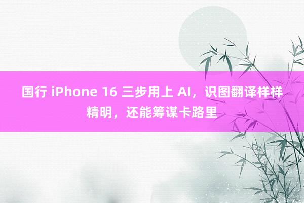 国行 iPhone 16 三步用上 AI，识图翻译样样精明，还能筹谋卡路里