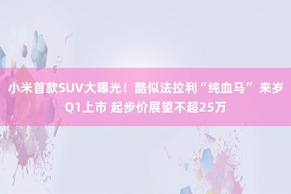 小米首款SUV大曝光！酷似法拉利“纯血马” 来岁Q1上市 起步价展望不超25万