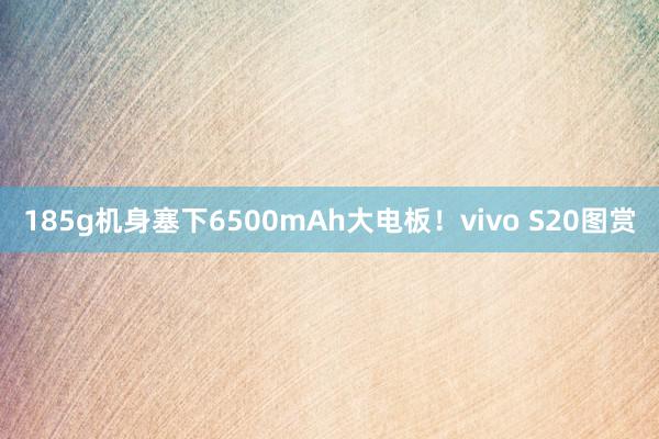 185g机身塞下6500mAh大电板！vivo S20图赏