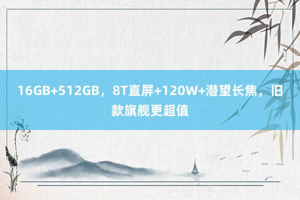 16GB+512GB，8T直屏+120W+潜望长焦，旧款旗舰更超值