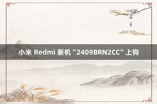 小米 Redmi 新机“2409BRN2CC”上钩