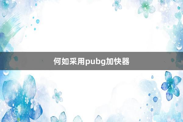 何如采用pubg加快器