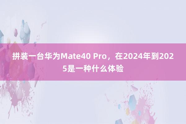 拼装一台华为Mate40 Pro，在2024年到2025是一种什么体验