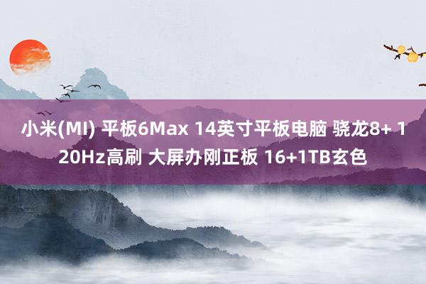 小米(MI) 平板6Max 14英寸平板电脑 骁龙8+ 120Hz高刷 大屏办刚正板 16+1TB玄色