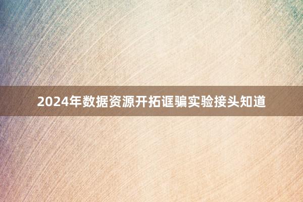 2024年数据资源开拓诓骗实验接头知道